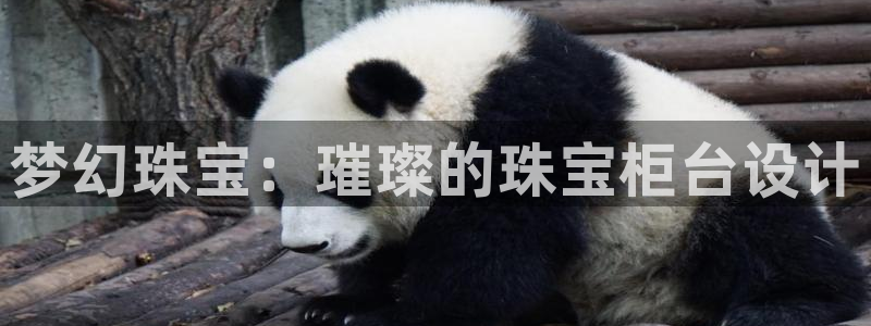 新宝5测速登录：梦幻珠宝：璀璨的珠宝柜台设计