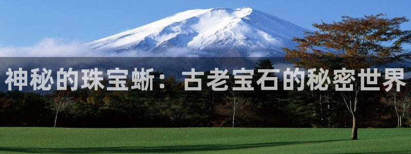 新宝5-测速：神秘的珠宝蜥：古老宝石的秘密世界