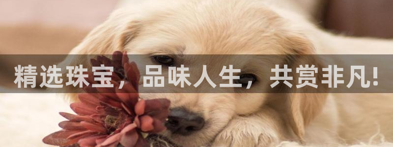 新宝5户端：精选珠宝，品味人生，共赏非凡!