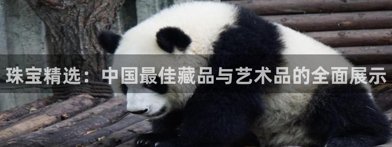 新宝股东瞧听2 5 5：珠宝精选：中国最佳藏品与艺术品的全面展示