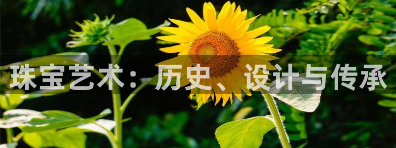 新宝5怎么代理：珠宝艺术：历史、设计与传承