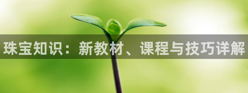 新宝5现在还能玩吗：珠宝知识：新教材、课程与技巧详解