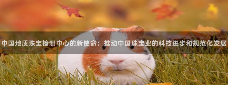 新宝5褚74OOO5：中国地质珠宝检测中心的新使命：推动中国珠宝业的科技进步和规