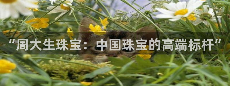 新宝5测速：“周大生珠宝：中国珠宝的高端标杆”