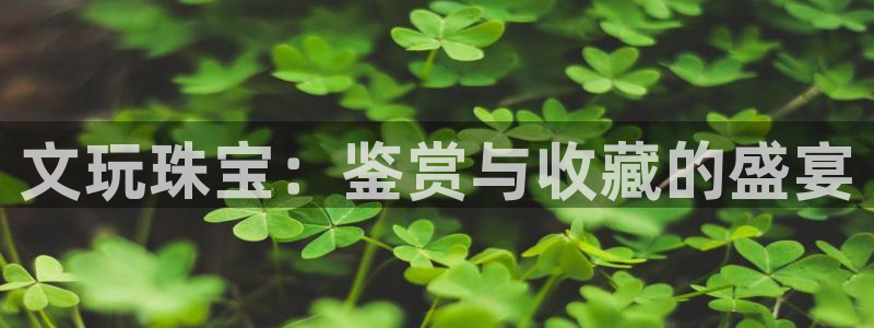 新宝_5：文玩珠宝：鉴赏与收藏的盛宴