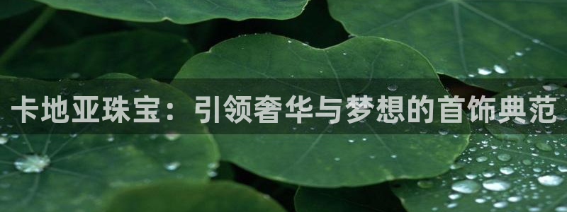 新宝5黑彩：卡地亚珠宝：引领奢华与梦想的首饰典范