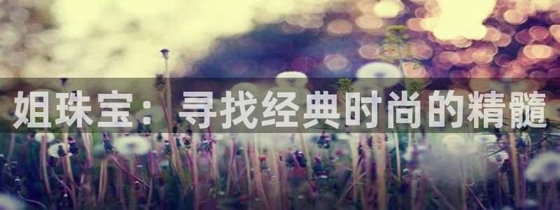 新宝5手机登陆：姐珠宝：寻找经典时尚的精髓