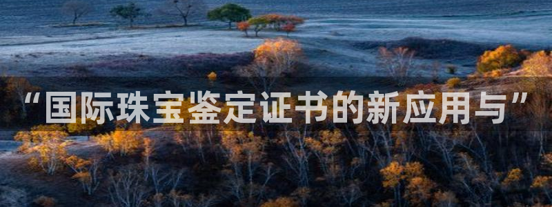 新宝5 - 测速登陆