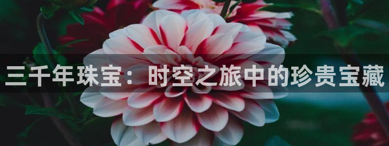 新宝h2O5O5O：三千年珠宝：时空之旅中的珍贵宝藏