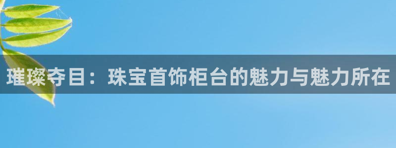 新宝那2O5O5O：璀璨夺目：珠宝首饰柜台的魅力与魅力所在