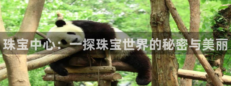 新宝5娱乐网址：珠宝中心：一探珠宝世界的秘密与美丽