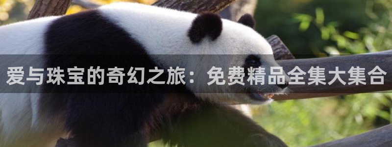 新宝5如何注册登录：爱与珠宝的奇幻之旅：免费精品全集大集合