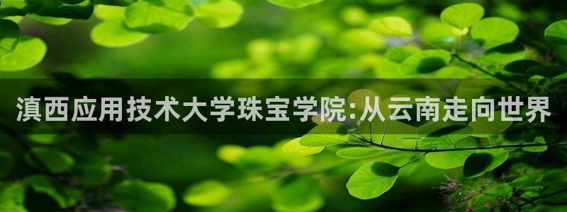 新宝股东张听2 5 5：滇西应用技术大学珠宝学院:从云南走向世界