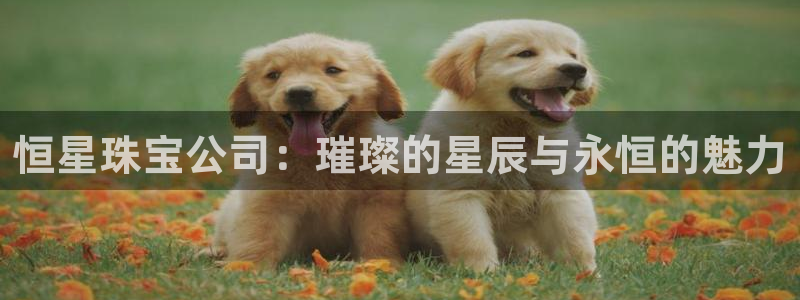 股票5G宝新：恒星珠宝公司：璀璨的星辰与永恒的魅力