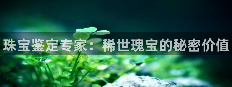 p5r新宝魔：珠宝鉴定专家：稀世瑰宝的秘密价值