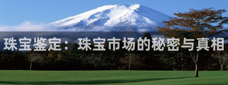 新宝5登录霸：珠宝鉴定：珠宝市场的秘密与真相