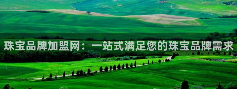 新宝5测速登录：珠宝品牌加盟网：一站式满足您的珠宝品牌需求