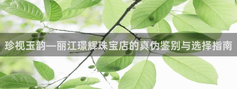 新宝5测登录：珍视玉韵—丽江璟辉珠宝店的真伪鉴别与选择指南