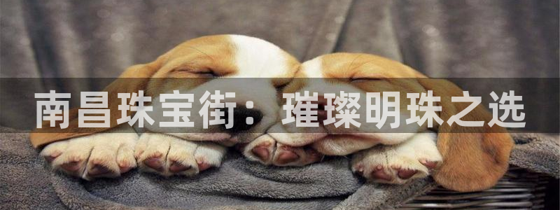 新宝5源码：南昌珠宝街：璀璨明珠之选