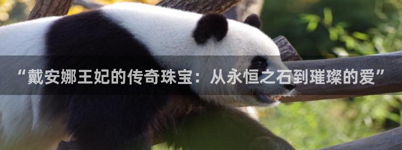 新宝5策略：“戴安娜王妃的传奇珠宝：从永恒之石到璀璨的爱”