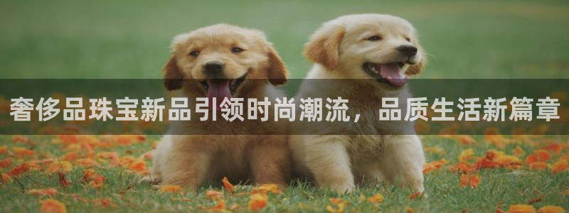 新宝5挂机：奢侈品珠宝新品引领时尚潮流，品质生活新篇章