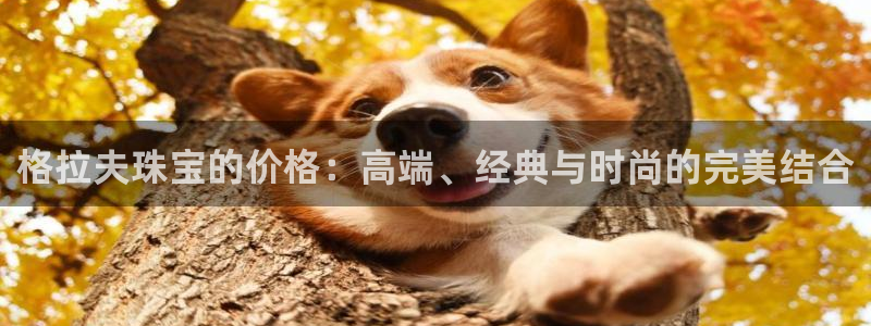 p5r新宝魔：格拉夫珠宝的价格：高端、经典与时尚的完美结合