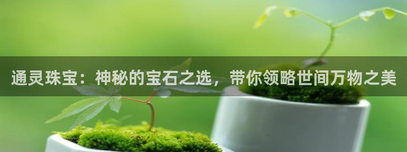 新宝5X：通灵珠宝：神秘的宝石之选，带你领略世间万物之美