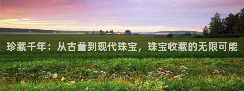 新宝5登录不了：珍藏千年：从古董到现代珠宝，珠宝收藏的无限可能