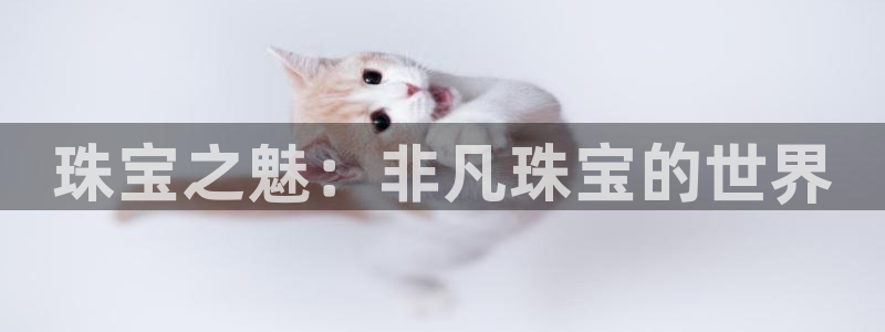新宝5代理：珠宝之魅：非凡珠宝的世界
