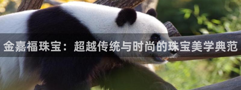 新宝5总代：金嘉福珠宝：超越传统与时尚的珠宝美学典范