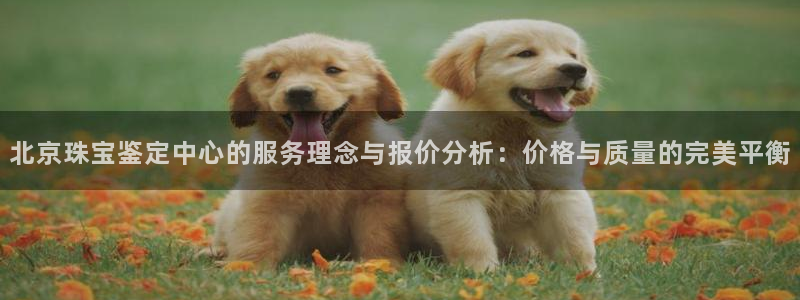 新宝h2O5O5O：北京珠宝鉴定中心的服务理念与报价分析：价格与质量的完美平衡