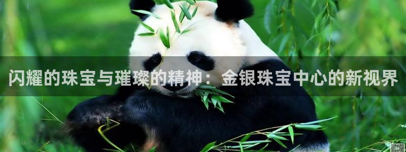 老新宝5授权登录：闪耀的珠宝与璀璨的精神：金银珠宝中心的新视界