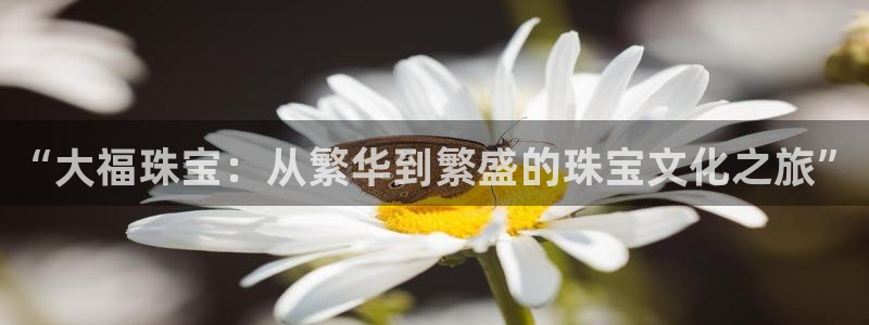 新宝5尤74OOO5：“大福珠宝：从繁华到繁盛的珠宝文化之旅”