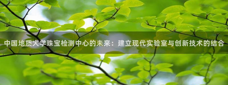 新宝5彩票娱乐平台：中国地质大学珠宝检测中心的未来：建立现代实验室与创新技术的结